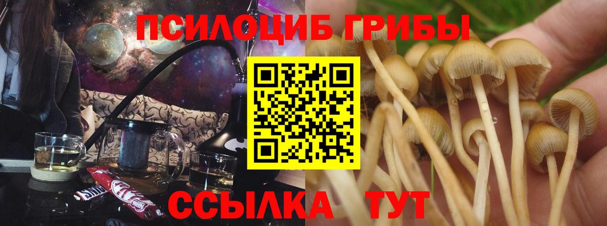 Галлюциногенные грибы мухоморы  Вход с VPN  Юрга 
