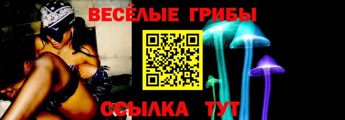 Галлюциногенные грибы Magic Shrooms Юрга